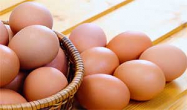 مدیر امور طیور جهادکشاورزی استان:  ‌بیش از 50 هزار تن به تولید تخم مرغ گلستان افزوده می‌شود