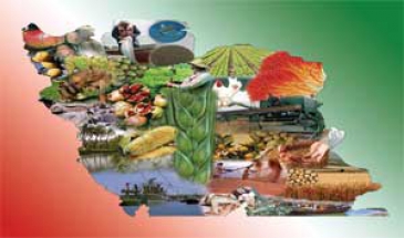 مدیرعامل بانک کشاورزی:  اعطای تسهیلات به بخش کشاورزی 35 درصد رشد یافت