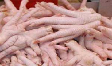 رئیس شبکه دامپزشکی شهرستان کامیاران خبرداد:  9 تن پای مرغ غیر قابل مصرف کشف، ضبط و معدوم سازی شد