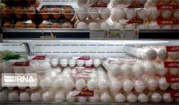 بیش از 30 تن تخم مرغ امسال در سمنان تولید شد