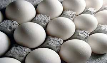 رییس اتحادیه مرغ تخم‌گذار خراسان رضوی مطرح کرد:  افزایش قیمت کارتن معضل تازه فروش تخم‌مرغ