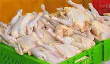 در گفتگو با مهر اعلام شد؛  موافقت ستاد تنظیم بازار با قیمت 9250 تومانی مرغ