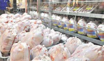 ایرنا گزارش می دهد  افزایش قیمت مرغ با وجود تخصیص ارز دولتی به نهاده های تولید