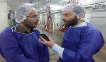 رییس سازمان دامپزشکی:  طیور تخم گذار علیه آنفلوانزای مرغی واکسینه می شوند
