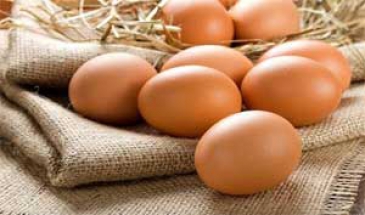 در گفتگو با مهر عنوان شد؛  رشد 10 درصدی تولید تخم مرغ در گیلان/ 14 هزار تن تخم مرغ تولید شد