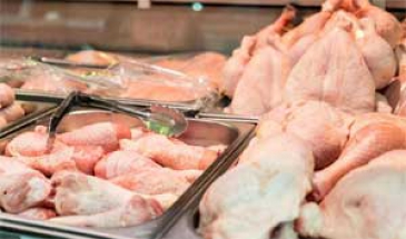 طرح ارتقای کیفیت گوشت مرغ در ابهر اجرا می‌شود