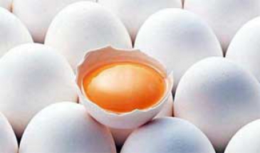 صادرات تخم مرغ ساوه از سر گرفته می شود