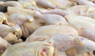 در گفت و گو با ایرنا  عرضه گوشت مرغ با قیمت 11 هزارتومان گرانفروشی است
