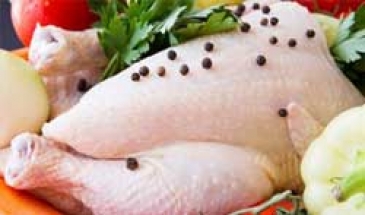 9 هزار تن مرغ از مازندران به عراق صادر شد