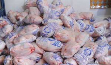 معاون جهاد کشاورزی استان:  ظرفیت صادرات سالانه 14 هزار تن مرغ از کرمانشاه به خارج از کشور را داریم