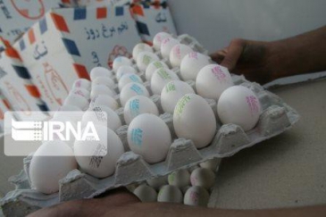 مدیرعامل اتحادیه مرغ تخمگذار:  قیمت خرید حمایتی تخم مرغ مازاد 6 هزارتومان شد