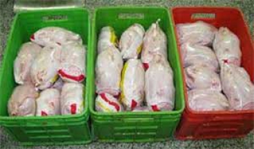 یک مقام مسئول اعلام کرد:  مردم نگران سلامت در مصرف مرغ نباشند