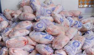 رئیس سازمان دامپزشکی؛  آغاز صادرات مرغ به افغانستان/شکار پرندگان وحشی ممنوع است