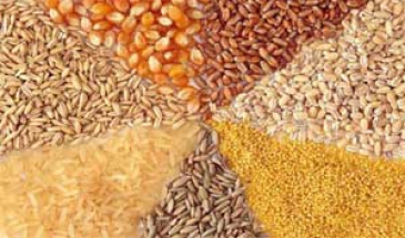 رئیس سازمان جهاد کشاورزی کرمانشاه خبر داد:  مصرف سالانه 100 هزار تن خوراک دام و طیور در کرمانشاه
