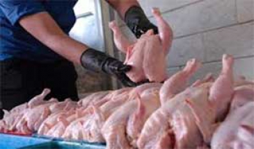یک مقام مسئول اعلام کرد:  توقف صادرات مرغ در دو سال اخیر/منتظر ابلاغ قیمت جدید هستیم