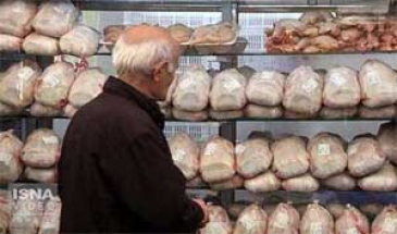 اگر مرغ وارد شود قیمت آن 24 هزار تومان خواهد بود