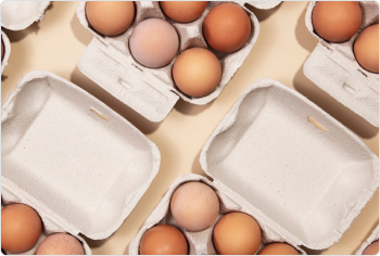 Egg Packaging (Kavak brand)