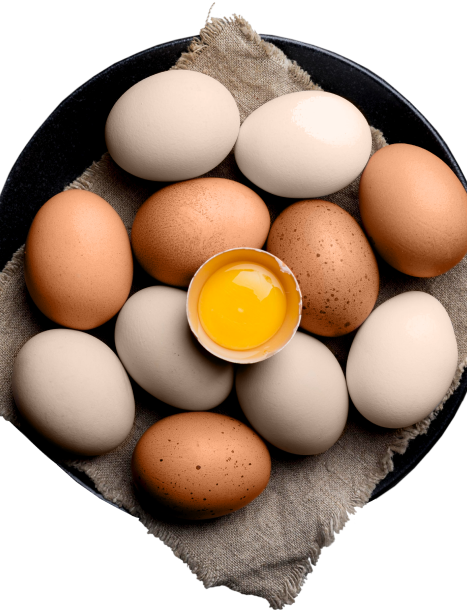 تخم‌مرغ خوراکی