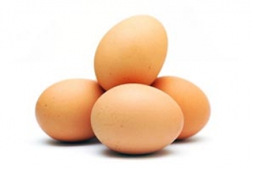 تاثیرشرایط نگهداری بر کیفیت تخم مرغ